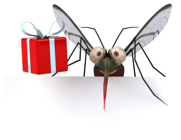 Mosquito - 3D Illustration Mosquito - 3D Illustration